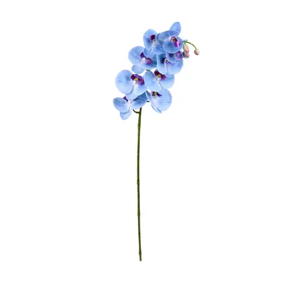 Картина на полотне Темно-синие орхидеи № s05222 в ART-holst.com.ua