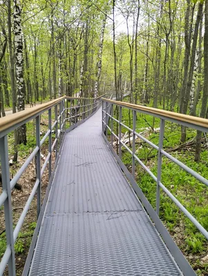 Гора Стрельная - Tolyatti, Samara Oblast, Russia - Landmark \u0026 Historical  Place, Wildlife Sanctuary | Facebook