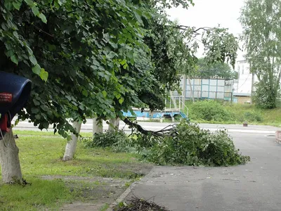 В Костромской области затопило кладбище - ИА REGNUM
