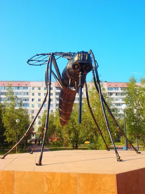 Фотография: Город Усинск. Памятник Комару. | Живой Ангарск | LiveAngarsk.ru