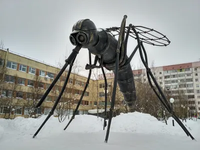 В Усинске есть памятники и комару, и сапогам, но голосовать зовут за их  собратьев в других городах - Усинск Онлайн