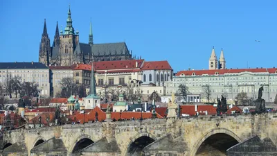 Обои цветы, ветки, город, весна, Прага, Чехия картинки на рабочий стол,  раздел город - скачать