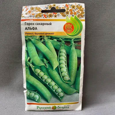 Горох сахарный «Альфа», Живые растения в Москве, купить по цене 133 руб,  Семена в Familia Flori с доставкой | Flowwow