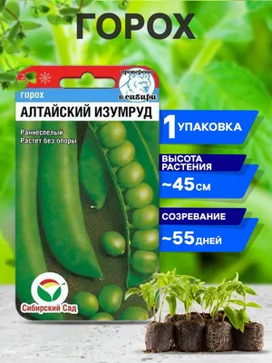 Горох Сибирский сад СибСад горох - купить по выгодным ценам в  интернет-магазине OZON