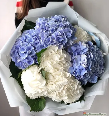 Букет из белой и голубой гортензии, 7 шт. купить в Екатеринбурге | Flowers  Valley