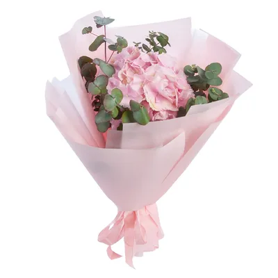 Букет 1 Розовая Гортензия - купить цветы с доставкой | Dicentra