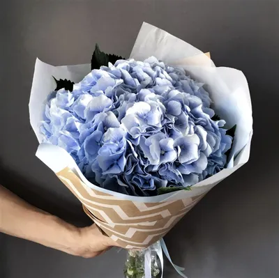 Голубая гортензия букет №453 - 🌹 Цветы Новосибирск заказ: