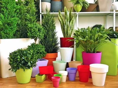 10 ideas for flower pots. DIY flower pots - YouTube