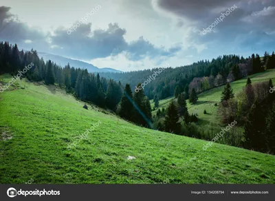 Цветы весны озером горы в альпах Стоковое Изображение - изображение  насчитывающей падения, лепесток: 214777483