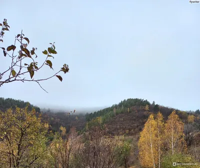 Монастырская гора и гора Верблюд (урочище Козьи рожки) | Лука Онлайн