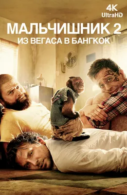 Эд Хелмс (Ed Helms) - актёр - фотографии - голливудские актёры -  Кино-Театр.Ру