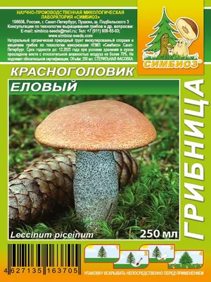 Грибы Красноголовик еловый Планета Садовод 26814905 купить в  интернет-магазине Wildberries