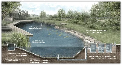 Строительство декоративных прудов и водоемов