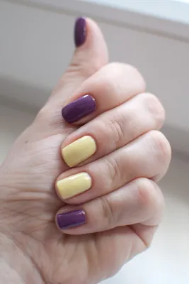 Двухцветные ногти фото