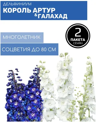 Цветы Дельфиниум Галахад 0,1г и Дельфиниум Король Артур 0,05г многолетние 2  пакета — купить в интернет-магазине по низкой цене на Яндекс Маркете