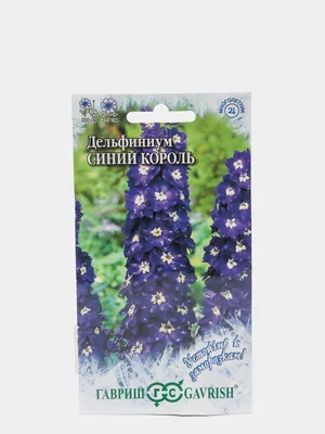 Семена Дельфиниум Синий Король за 49 ₽ купить в интернет-магазине  KazanExpress