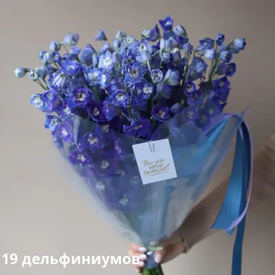 Букет из синего дельфиниума - заказать доставку цветов в Москве от Leto  Flowers