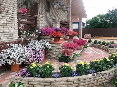 Цветы во дворе частного дома - 64 фото