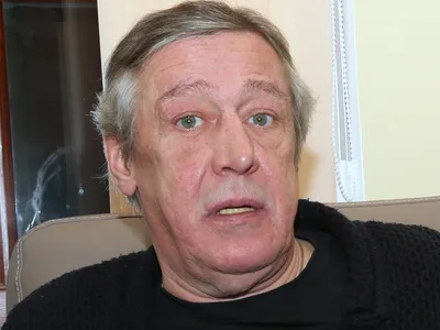 Михаил Ефремов официально отказался признать вину в смертельном ДТП
