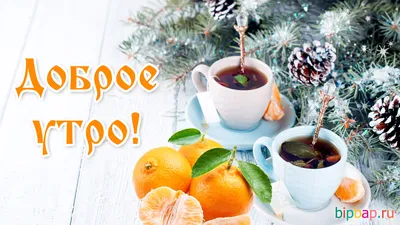 Salumeria Moscow - Доброе утро вместе с Salumeria — это крепкий американо  на итальянском зерне и наша фирменная апельсиновая намелака. | Facebook
