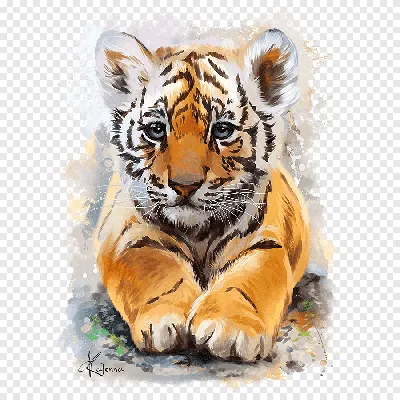 Самые красивые тигры - 50 фото