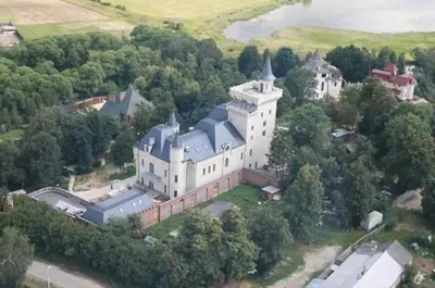 В сети обсуждают судьбу замка Галкина и Пугачевой в деревне Грязь