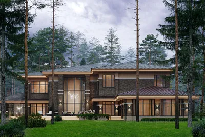 Дом в стиле Райта с большой террасой Вангард | Проектирование и  строительство