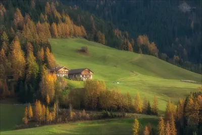 Дома в альпах - 69 фото