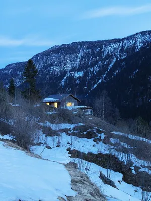 Обои деревья, горы, дома, Швейцария, долина, деревня, Альпы, Switzerland,  Bergün, Бергюн, Albula Alps картинки на рабочий стол, раздел пейзажи -  скачать