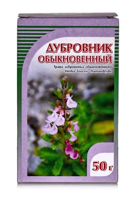 Дубровник обыкновенный, трава 50гр. купить в Москве в одном из наших  магазинов или с бесплатной доставкой по Москве в интернет-магазине по  низкой цене. Рецепты, применение, отзывы.