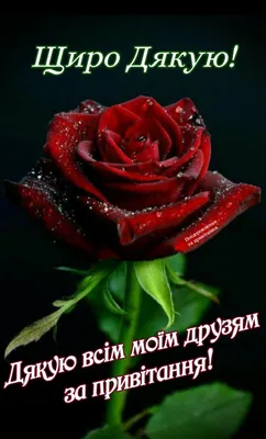 Pin by Людмила Харамбура on открытки | Postcard, Flowers, Rose