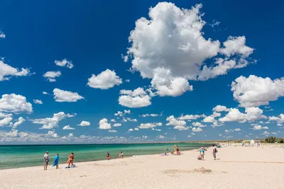 Пляж Солнышко возле Евпатории - отличный солнечный крымский пляж! |  Крымский Туристический Навигатор