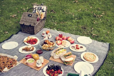 Какие продукты взять на пикник? Собираемся на природу | Еда и кулинария |  ШколаЖизни.ру