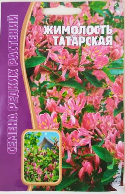 Фотографии осени - Жимолость татарская (Lonicera tatarica) - Spikальбом