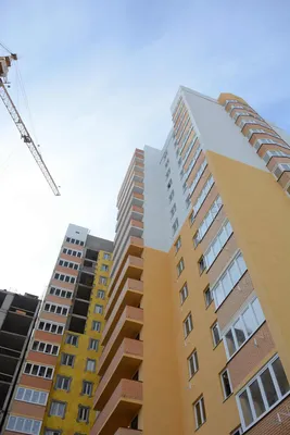 В Новороссийске торговали несуществующими квартирами в якобы достроенном ЖК  «Посейдон-1» – Новости Новороссийска