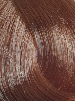 KAPOUS STUDIO Крем-краска для волос 6.81 Темный коричнево-пепельный блонд,  100 мл – купить за 210 руб | МАДИАЛЬ - профессиональные товары для красоты