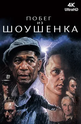 Побег из Шоушенка»: как создавали самый лучший фильм всех времен - 7Дней.ру