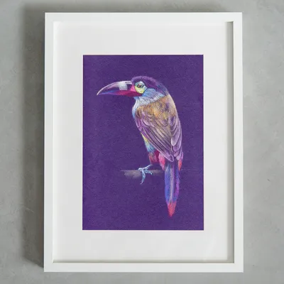 Картина пастелью \"Тукан птица на фиолетовом фоне в интерьер в магазине  «Художник Пухова Юлия» на Ламбада-маркете
