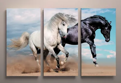 Картина на холсте из частей С лошадьми, Черная и белая лошадь, Красивые  лошади 90х60 из 3-х модулей, цена 2019 грн — Prom.ua (ID#1710551339)