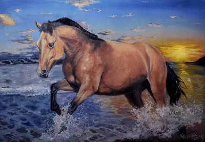 Лошадь на берегу | Пикабу