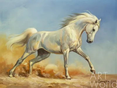 Картина маслом \"Белая лошадь. Сила и грация\" 75x100 SK200106 купить в Москве