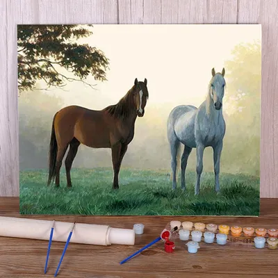 Животные, лошадь, цветок, DIY картина искусственными акриловыми красками  50*70, картина по номерам, настенные картины для рукоделия - купить по  выгодной цене | AliExpress