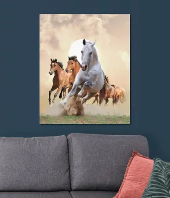 Купить картины с лошадьми. Картины на холсте | Арт-холст