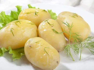 Описание и правила выращивания сорта картофеля Лапоть + фото