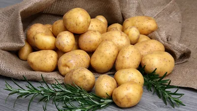 Сорт картофеля Гала: фото, отзывы, описание, характеристики.