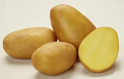 Семенной картофель фелокс купить — купить по низкой цене на Яндекс Маркете