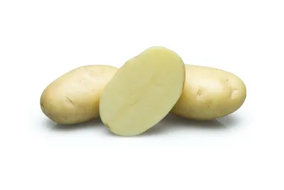 Картофель Рамос (Ramos) | Сорта картофеля