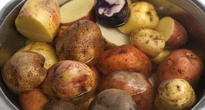 32 сорта картофеля: для варки, жарки и запекания - Рамблер/женский