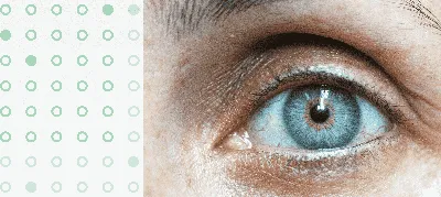 Катаракта, глаукома: как выявить серьезные заболевания глаз на ранней  стадии | дневник бабушки к. | Дзен