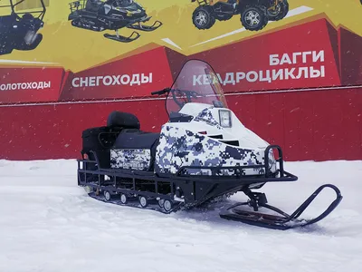 Купить новый Promax SNOWBEAR 800 карбюратор в Тюмени: белый 2022 года на  Авто.ру ID 4172190